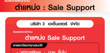 Sale Support-01